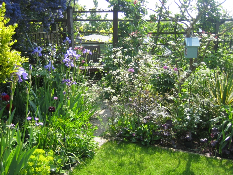 Forest Hill Garden Group